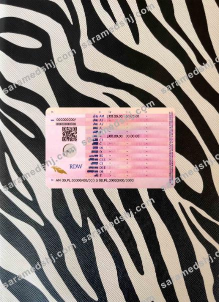 Netherland new driving license photolook BACK